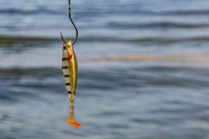 Lees meer over het artikel Wat is phishing en hoe herken je het?