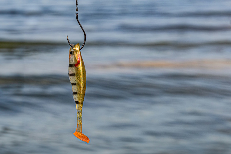 Lees meer over het artikel Phishing