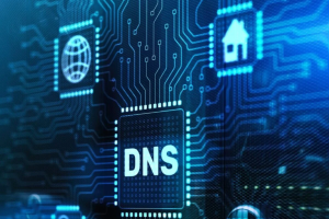 Lees meer over het artikel DNS spoofing