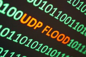 Lees meer over het artikel UDP flood DDoS