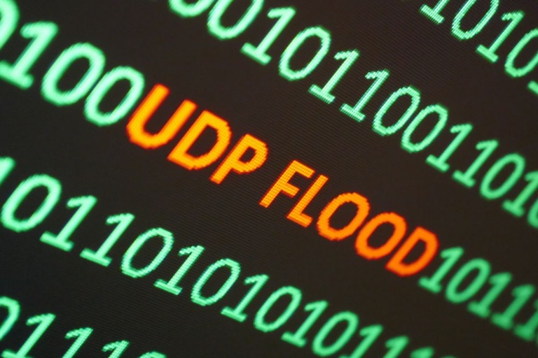 Lees meer over het artikel UDP flood DDoS