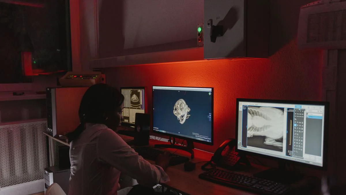 Persoon controleert systeeminformatie op een laptop aan een bureau